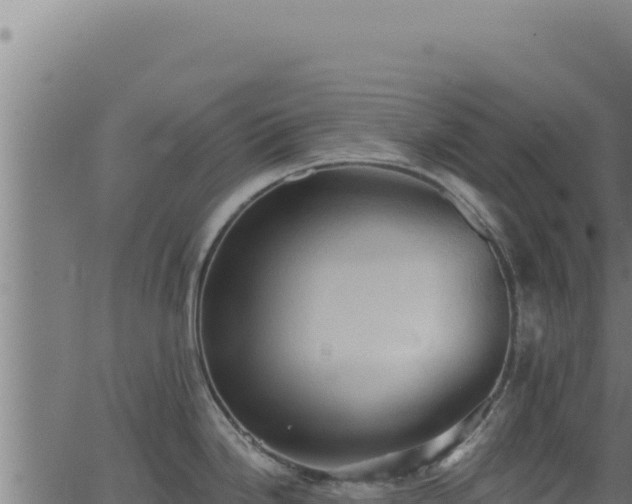 X0000062891246200601171505