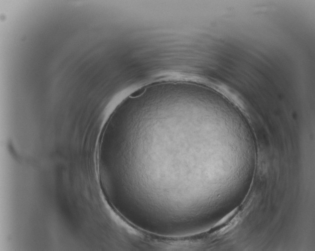 X0000062891247200601171505