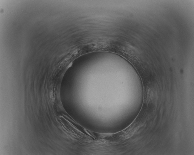 X0000062891250200601171504