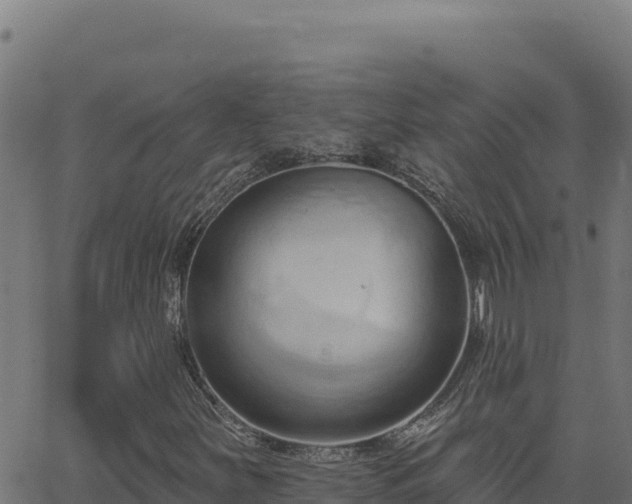 X0000062891251200601171504