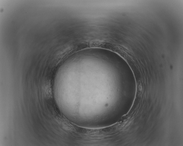 X0000062891252200601171504