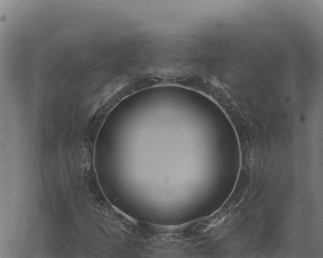 X0000062891253200601171504