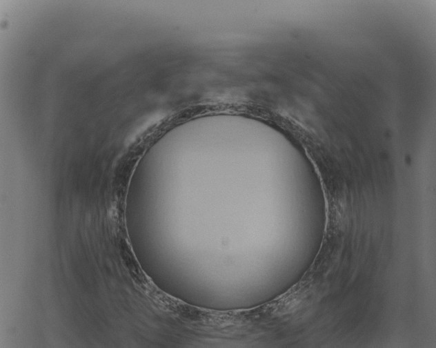 X0000062891254200601171504