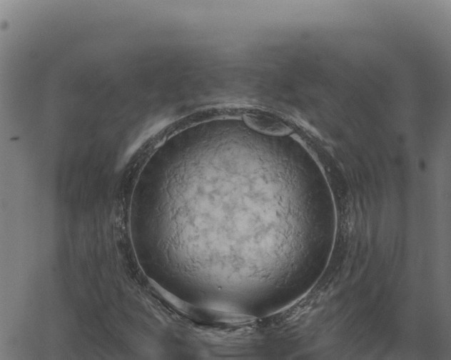 X0000062891255200601171504