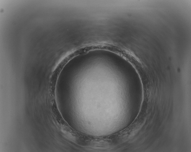 X0000062891256200601171504