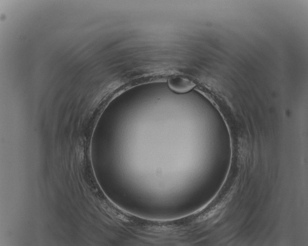 X0000062891257200601171504