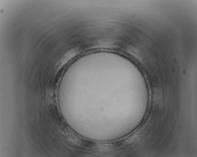 X0000062891258200601171504