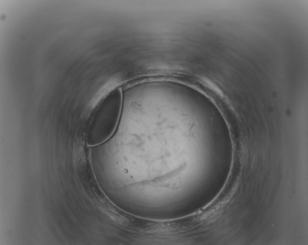 X0000062891259200601171504