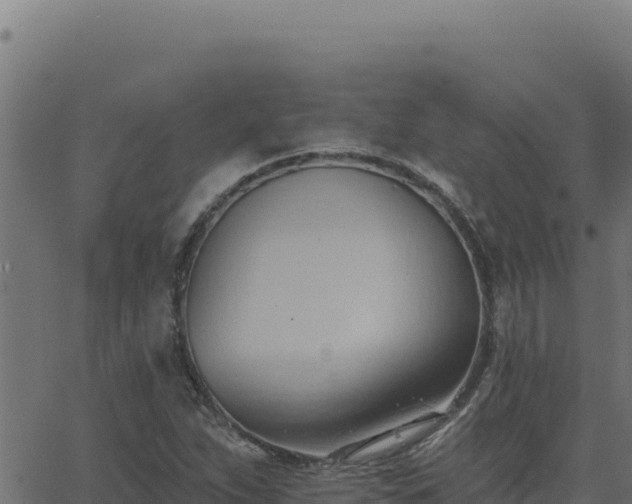 X0000062891263200601171504