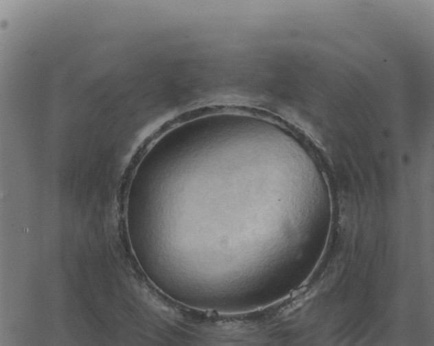 X0000062891264200601171504