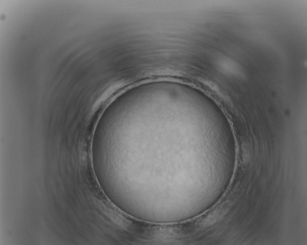 X0000062891266200601171504