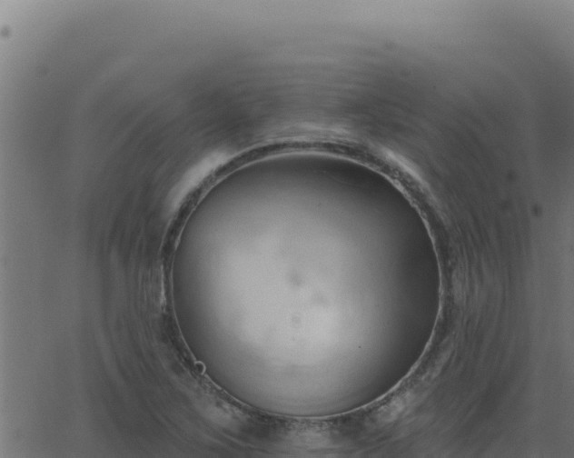 X0000062891267200601171504