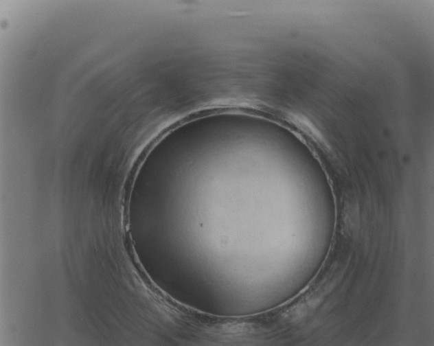 X0000062891268200601171504