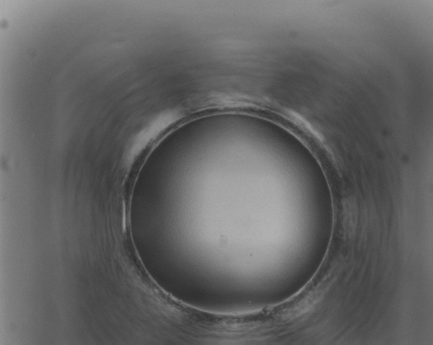 X0000062891269200601171504