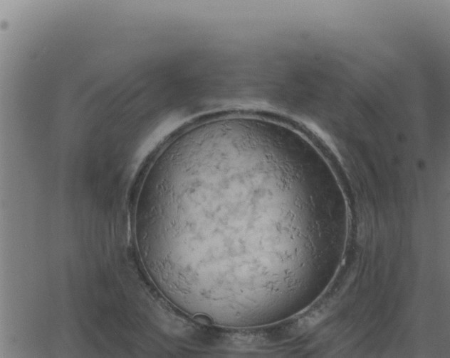 X0000062891271200601171504