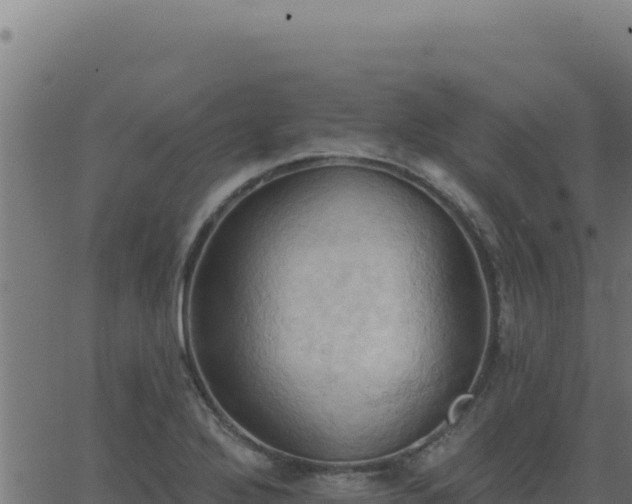 X0000062891272200601171504