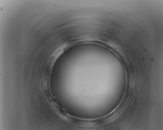 X0000062891273200601171504