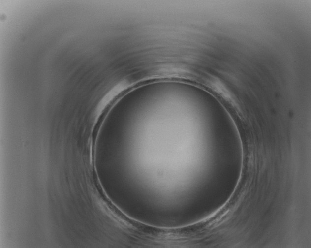 X0000062891275200601171504