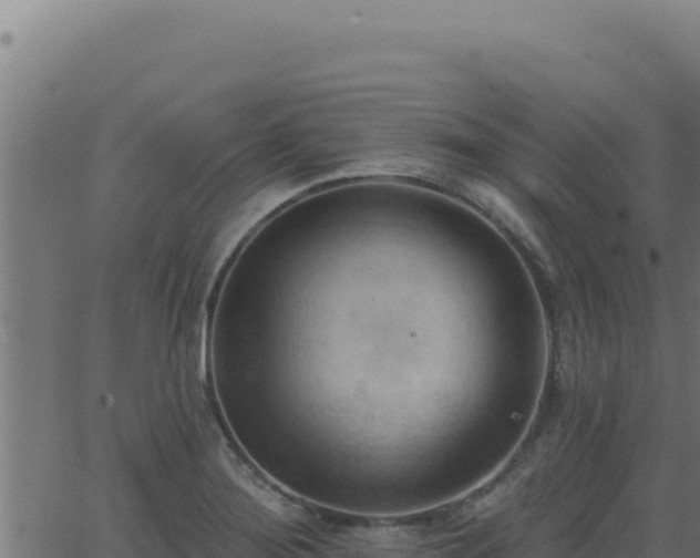 X0000062891276200601171504