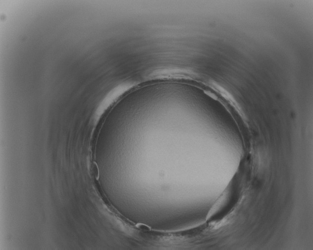 X0000062891277200601171504