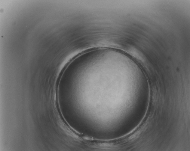 X0000062891280200601171504