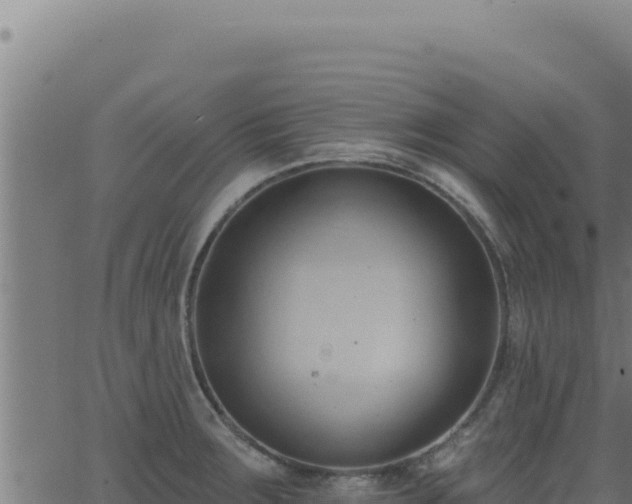 X0000062891283200601171504