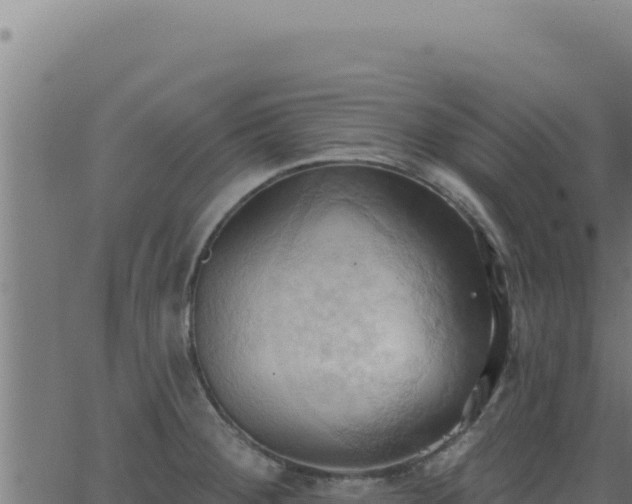 X0000062891284200601171504