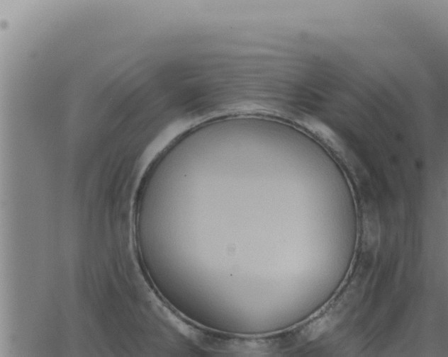 X0000062891286200601171504