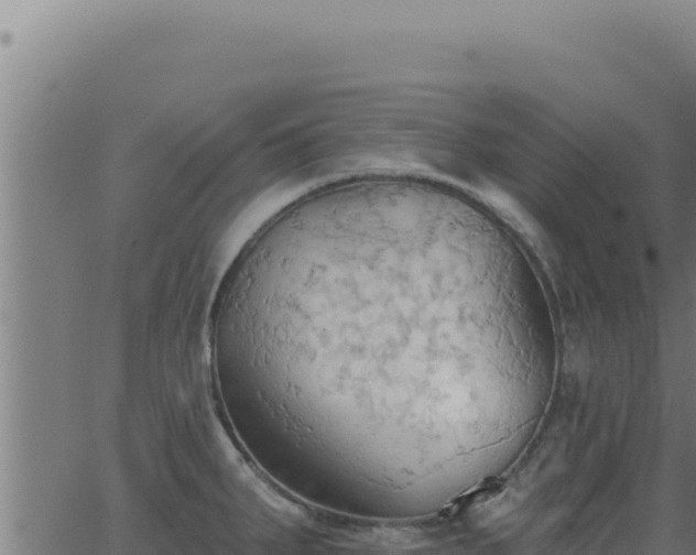 X0000062891287200601171504