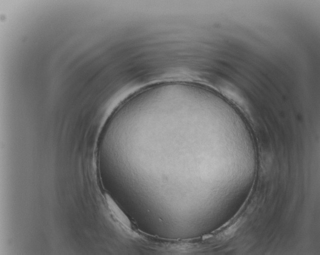 X0000062891288200601171504