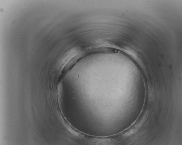 X0000062891289200601171504