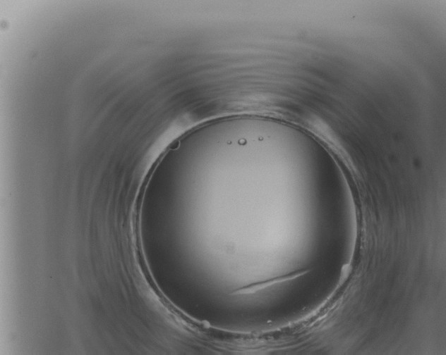 X0000062891291200601171504