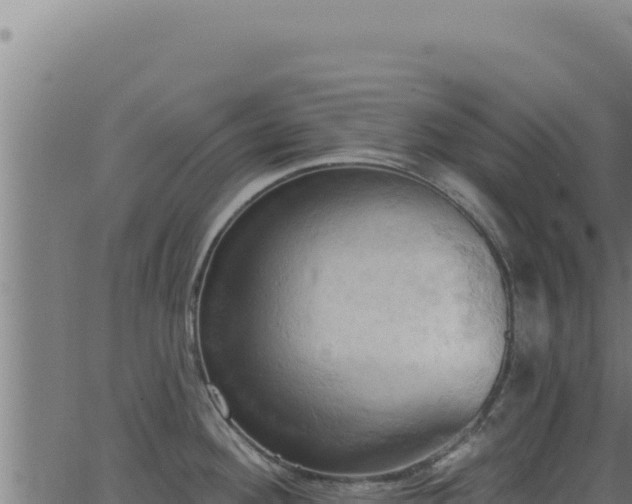 X0000062891292200601171504