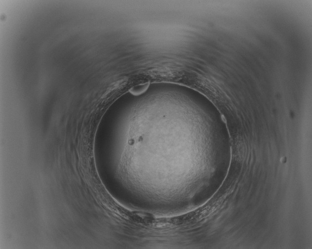 X0000062891297200601171503