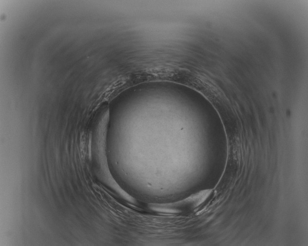 X0000062891298200601171503