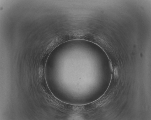 X0000062891299200601171503