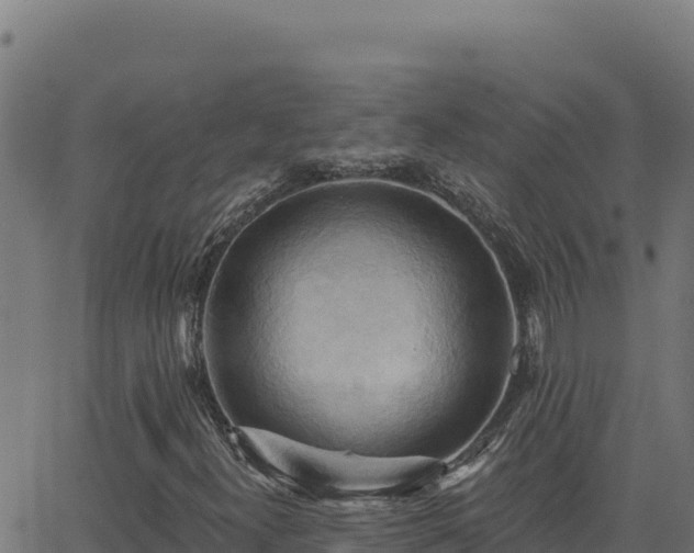 X0000062891300200601171503