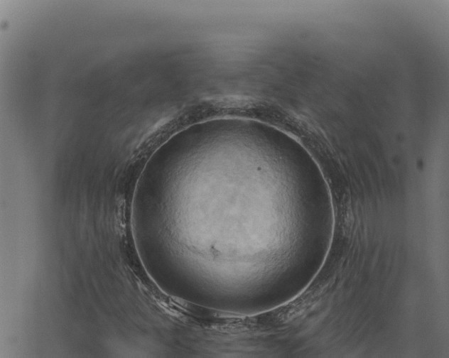 X0000062891301200601171503