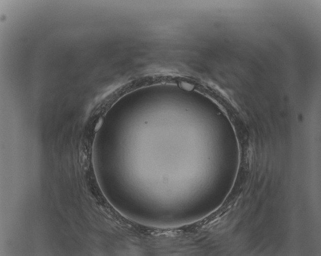 X0000062891303200601171503