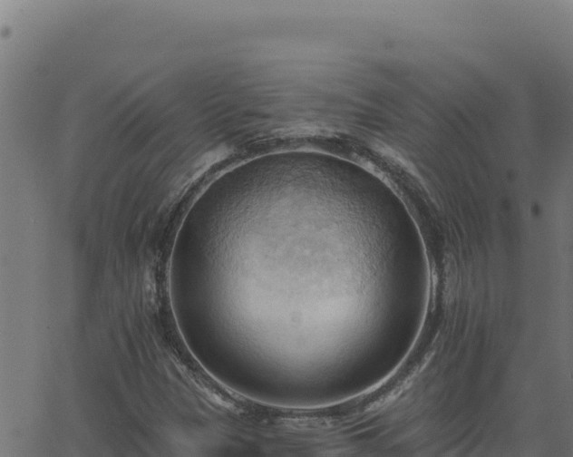 X0000062891305200601171503