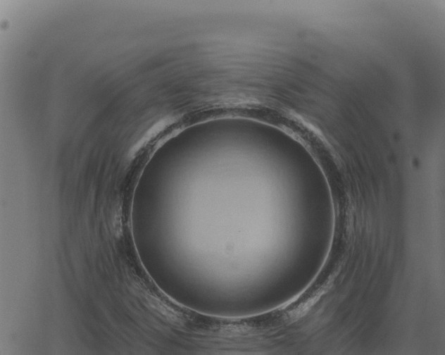 X0000062891306200601171503