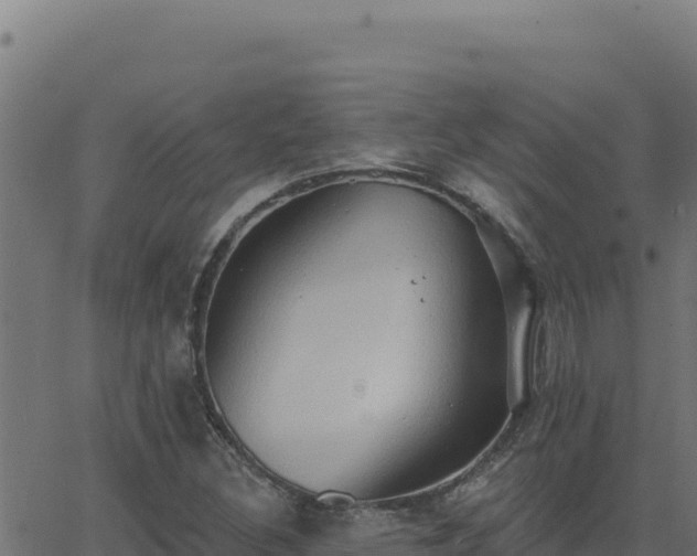 X0000062891308200601171503