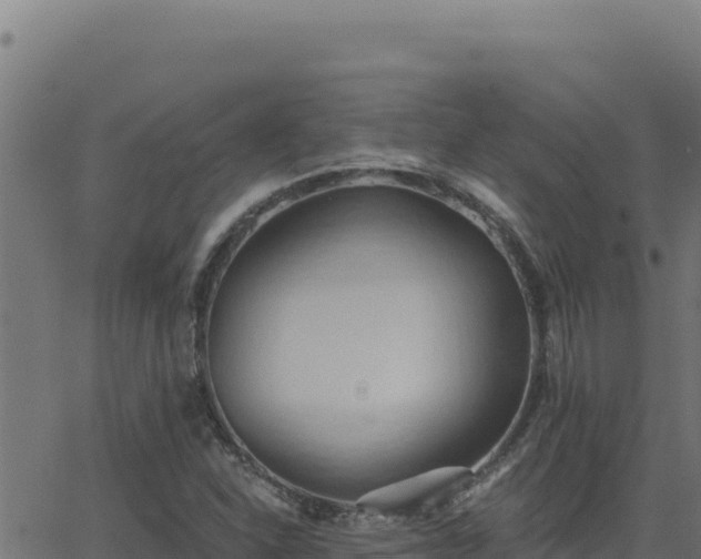 X0000062891310200601171503