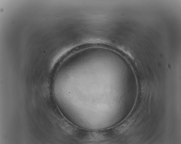 X0000062891311200601171503