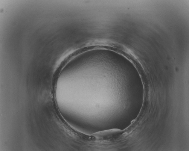 X0000062891312200601171503