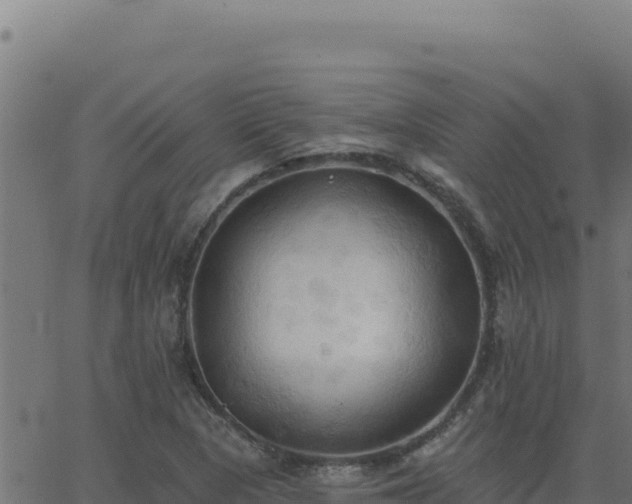 X0000062891313200601171503