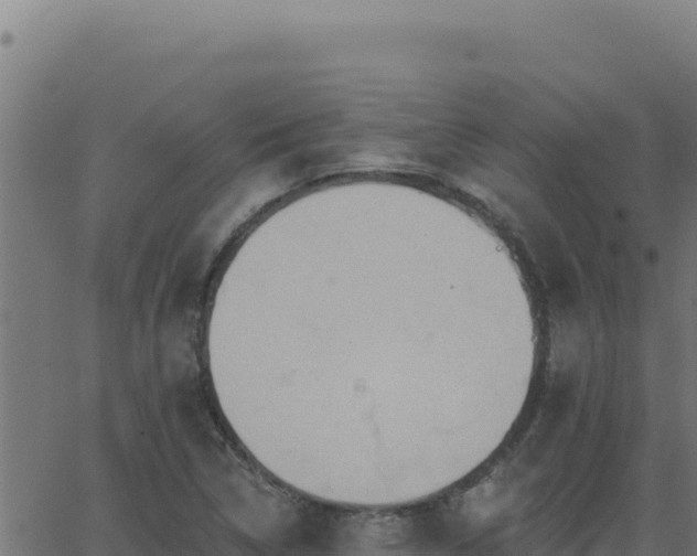 X0000062891314200601171503