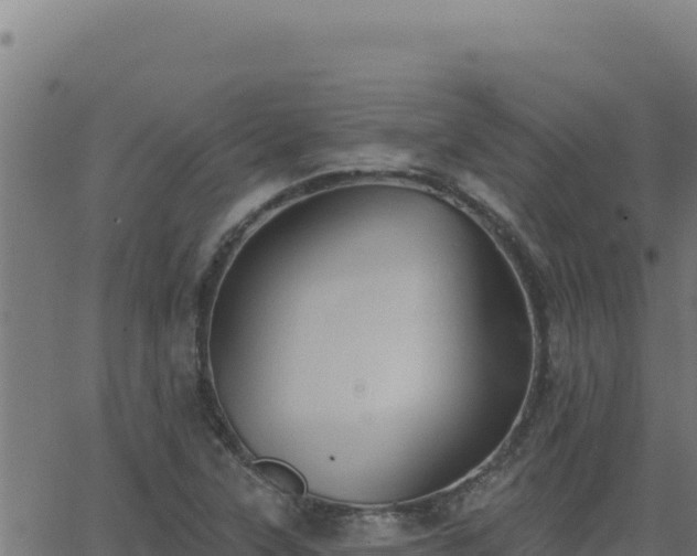 X0000062891315200601171503