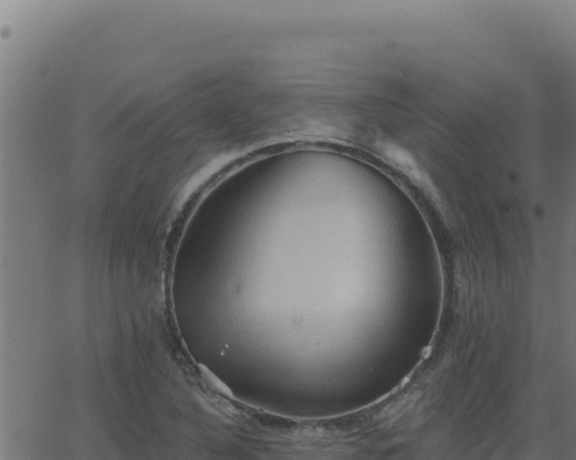 X0000062891316200601171503