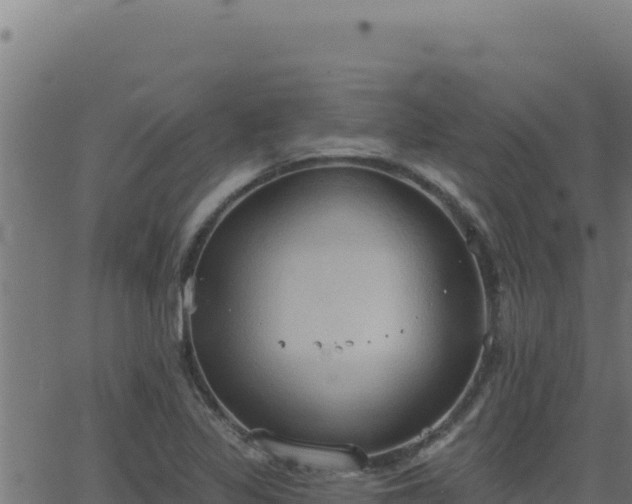 X0000062891317200601171503